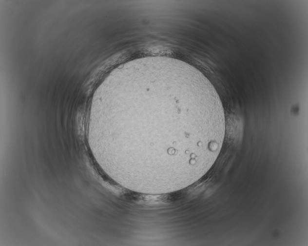 X0000115090622200912081236