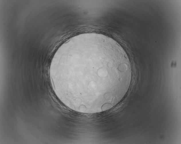 X0000115090624200912081236