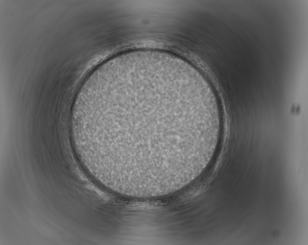 X0000115090625200912081235