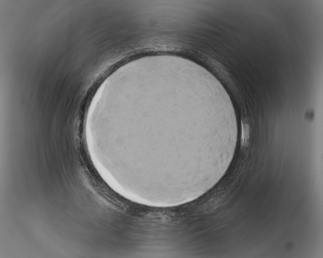 X0000115090627200912081235