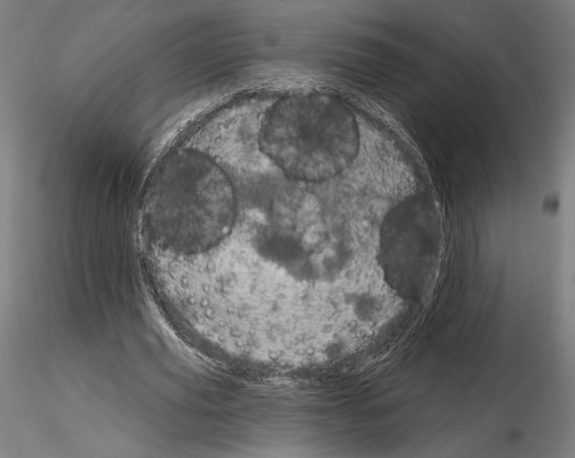 X0000115090629200912081235