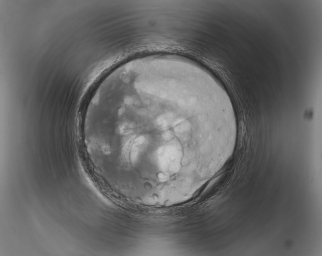X0000115090630200912081235