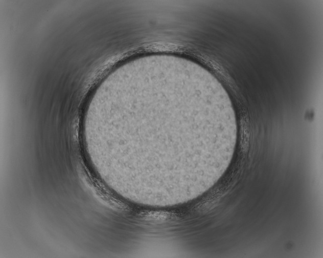 X0000115090631200912081235