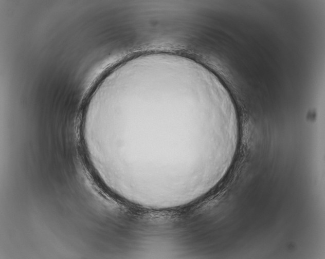 X0000115090632200912081235