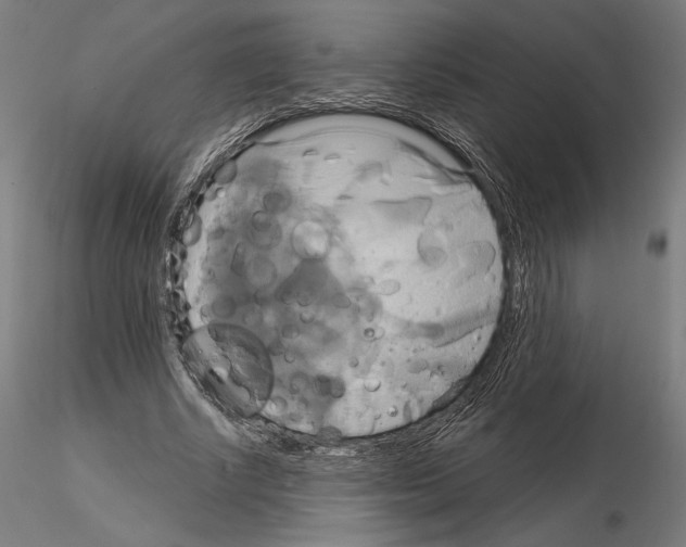 X0000115090634200912081235