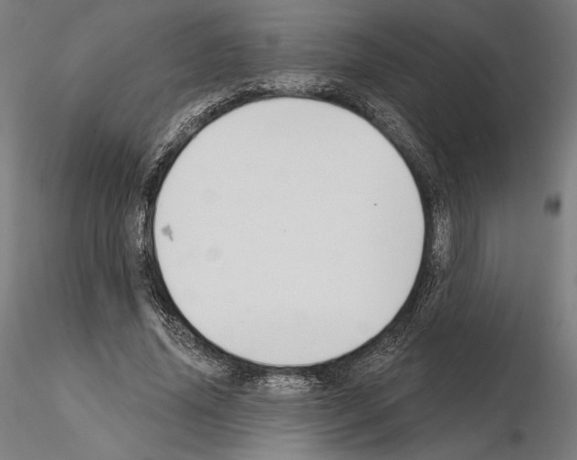 X0000115090636200912081236