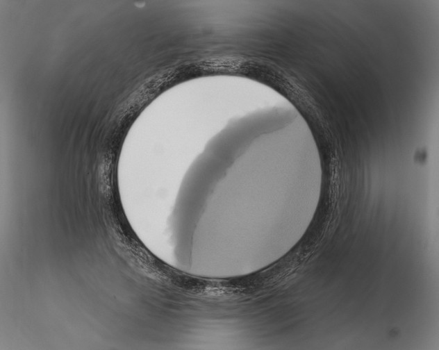 X0000115090641200912081236