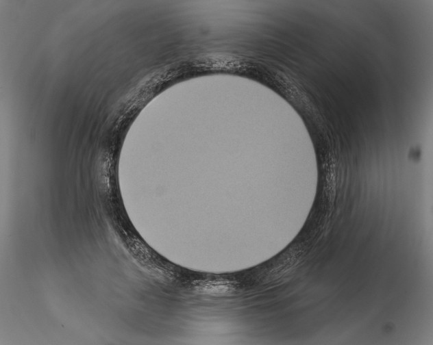 X0000115090643200912081236