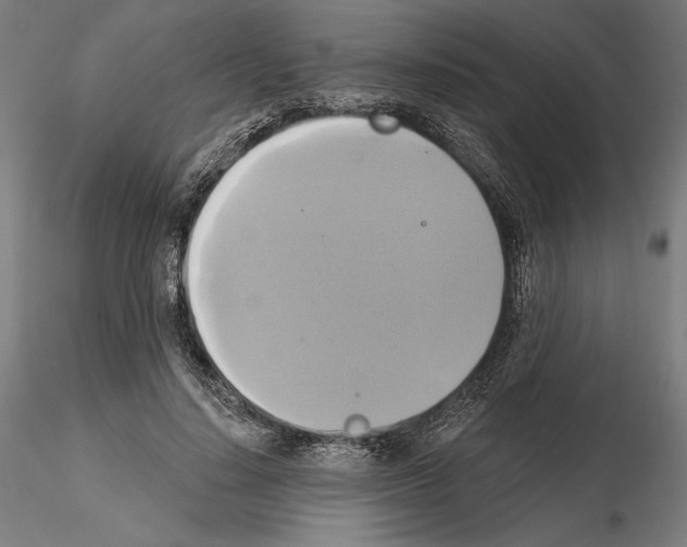 X0000115090644200912081236