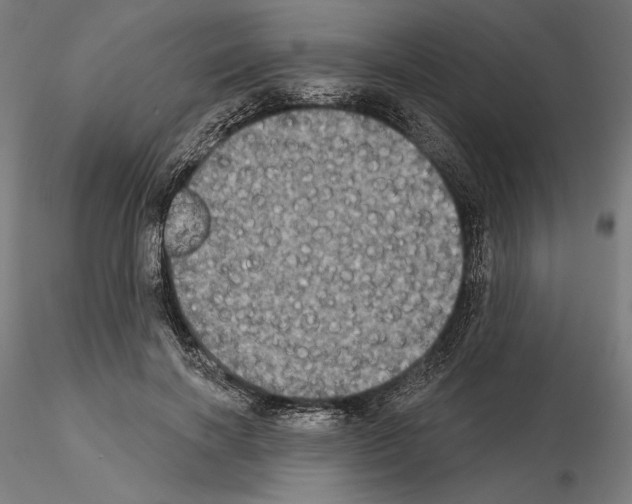 X0000115090646200912081236