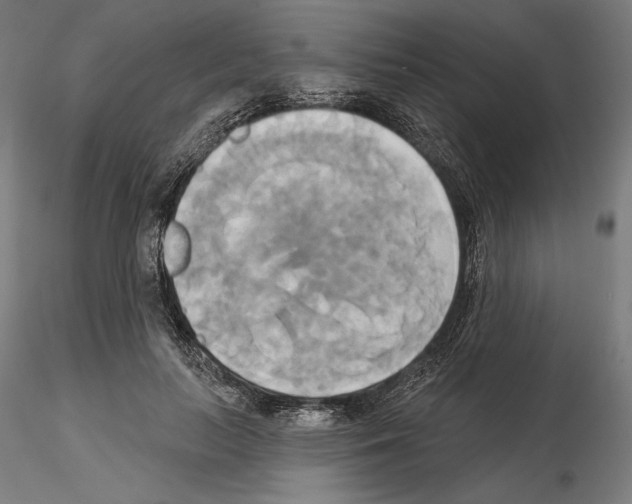 X0000115090647200912081236