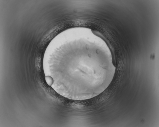 X0000115090648200912081236