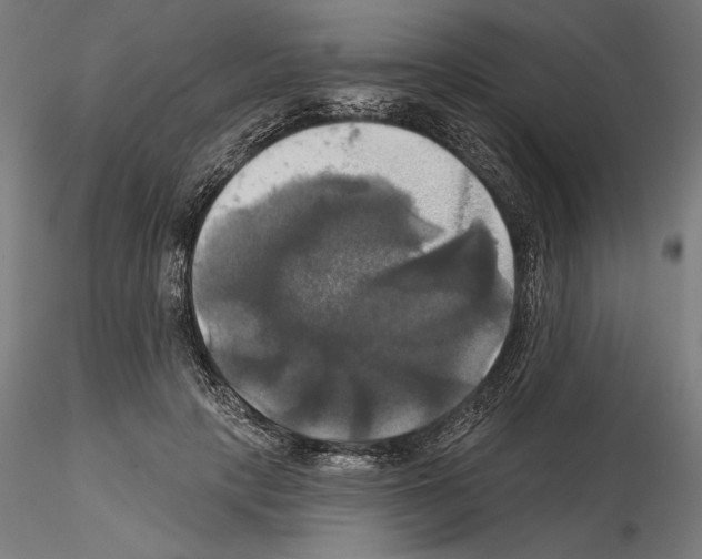 X0000115090649200912081236