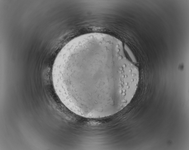 X0000115090650200912081236