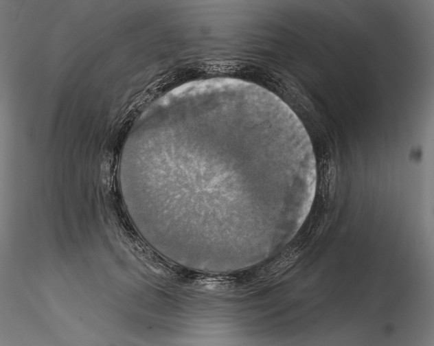 X0000115090655200912081236