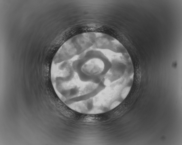 X0000115090657200912081236