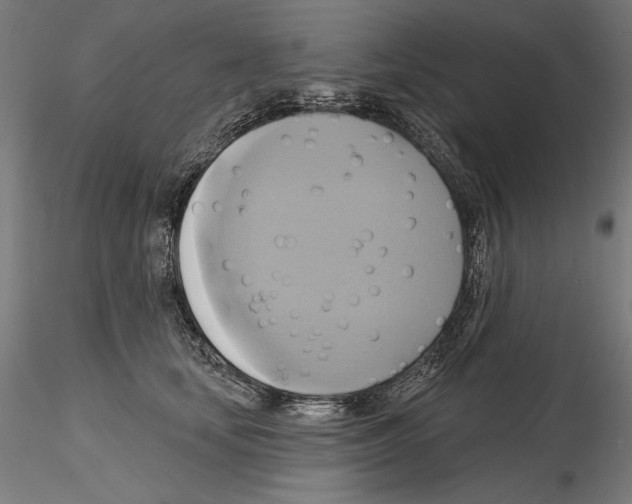 X0000115090659200912081236