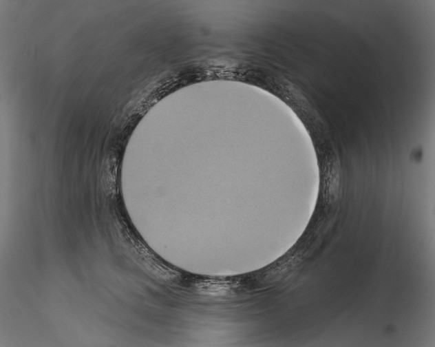X0000115090661200912081236