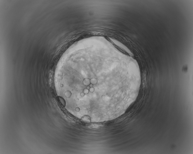 X0000115090664200912081236