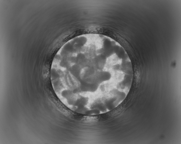 X0000115090665200912081236