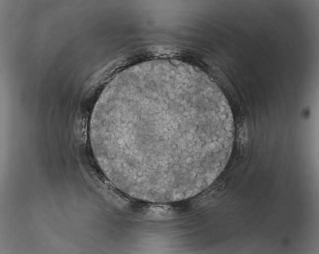 X0000115090666200912081236