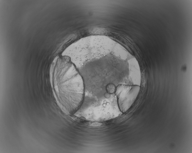 X0000115090669200912081236