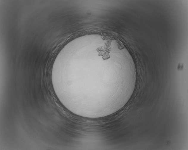 X0000115090672200912081236