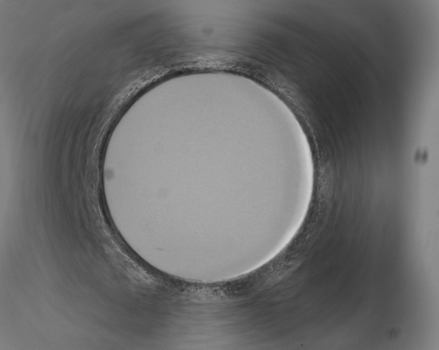 X0000115090673200912081235
