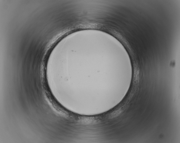 X0000115090674200912081235