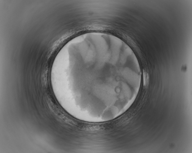 X0000115090675200912081235