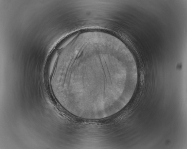 X0000115090676200912081235