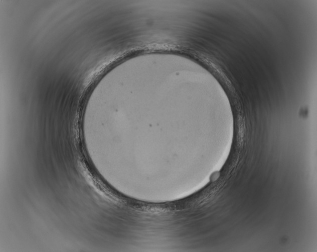 X0000115090677200912081235