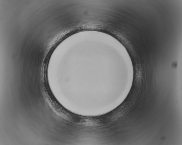 X0000115090678200912081235