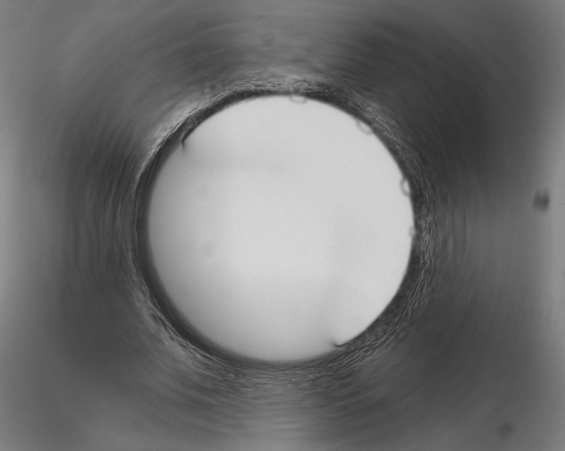 X0000115090679200912081235
