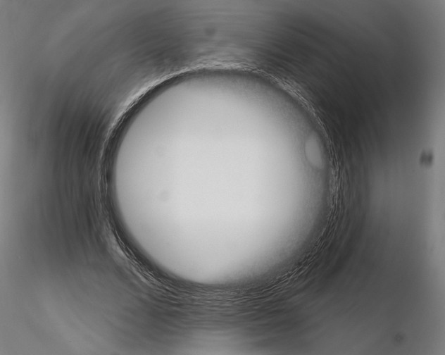 X0000115090680200912081235