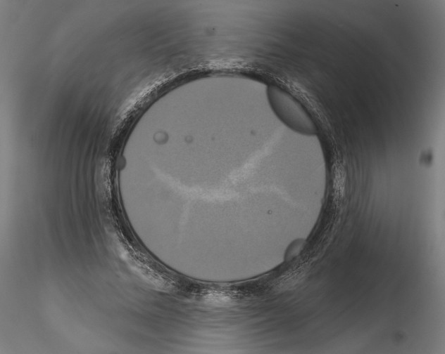 X0000115090684200912081235