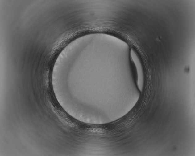 X0000115090685200912081235