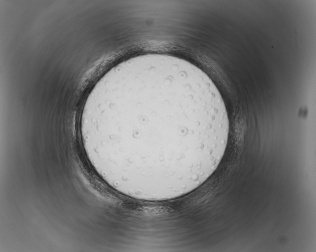 X0000115090686200912081235