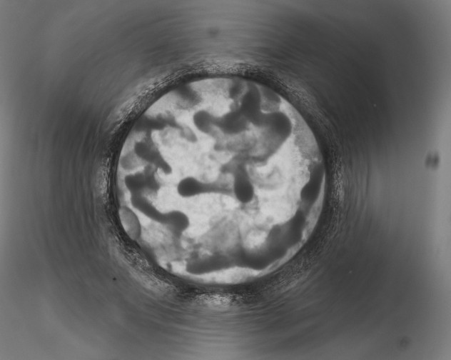X0000115090687200912081235