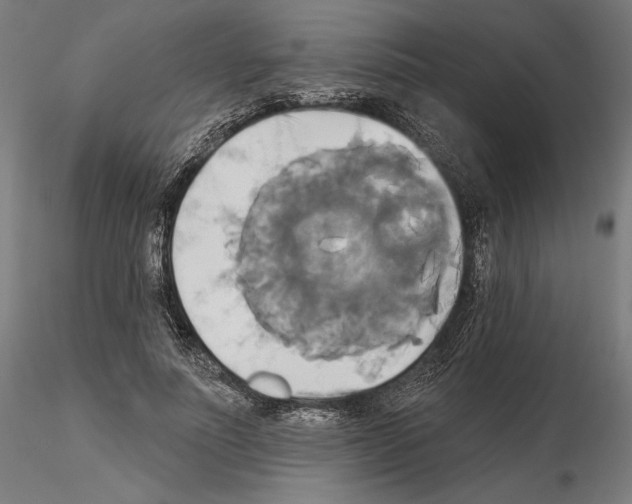 X0000115090691200912081235