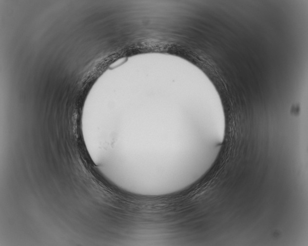 X0000115090693200912081235