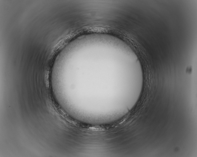 X0000115090696200912081235