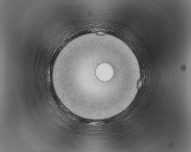 X0000115090700200912081235