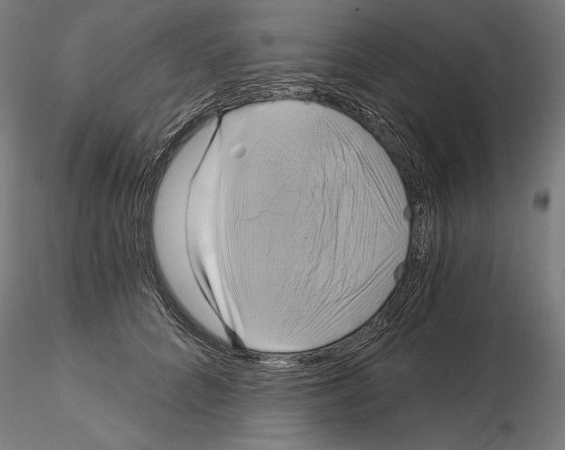X0000115090704200912081235