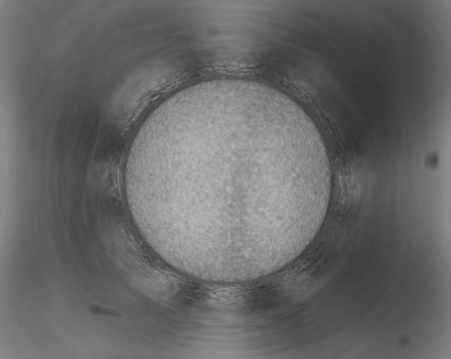 X0000115090705200912081235