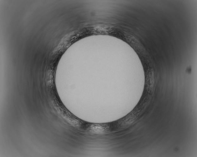 X0000115090706200912081235