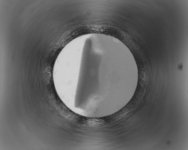 X0000115090707200912081235