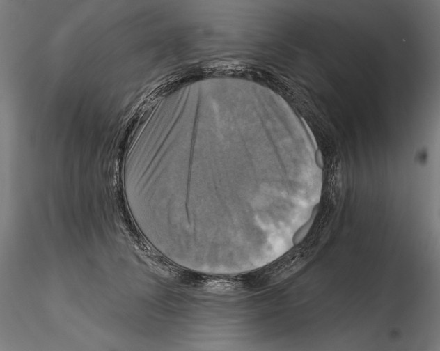X0000115090708200912081235