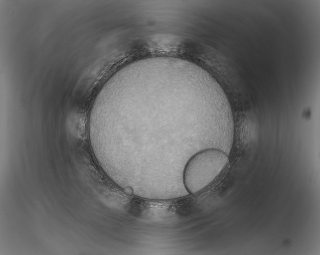 X0000115090709200912081235