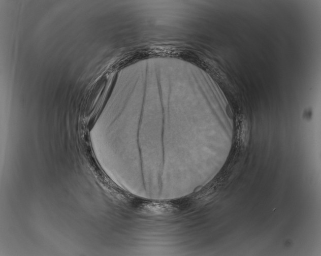 X0000115090712200912081235
